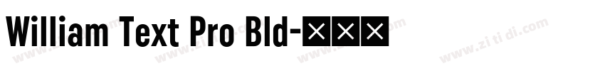 William Text Pro Bld字体转换